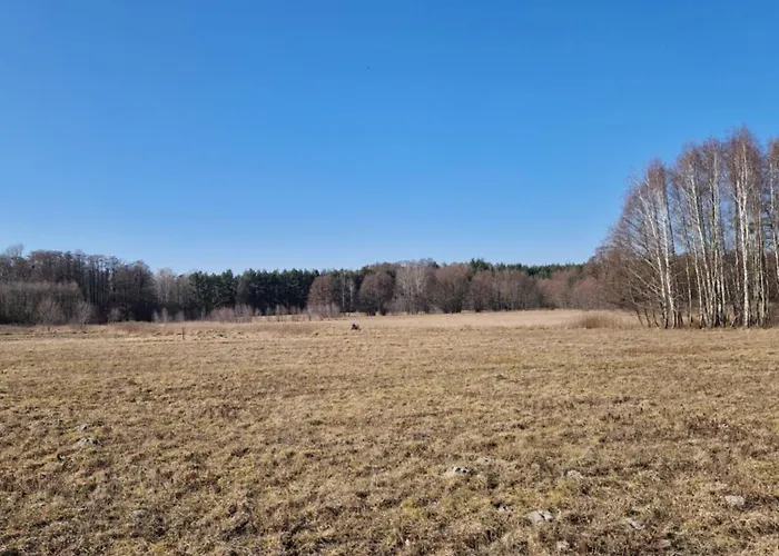 Pole Namiotowe Chesterfield Camping