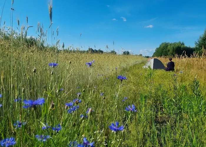 Pole Namiotowe Chesterfield *